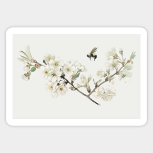 Vintage apple blossom illustration in a Christmas card Sticker